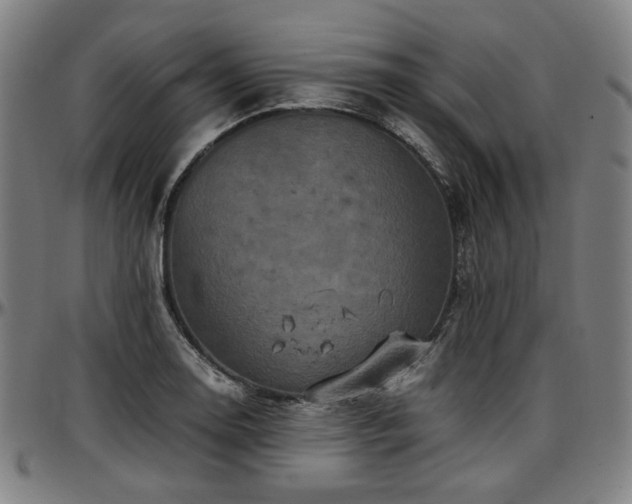 X0000097601130200802291237
