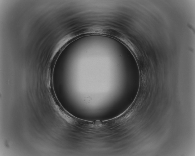 X0000097601131200802291237