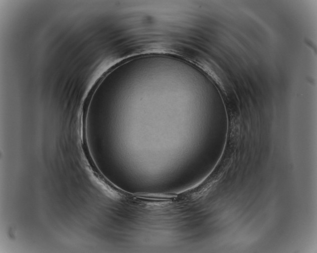 X0000097601132200802291237