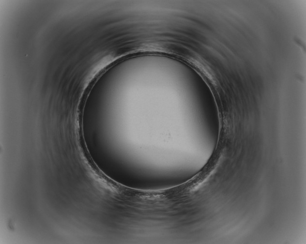 X0000097601133200802291237