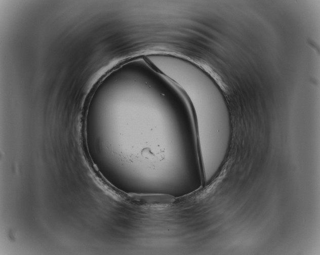 X0000097601134200802291237