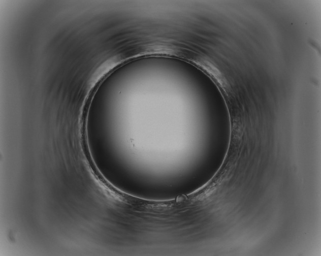 X0000097601135200802291237