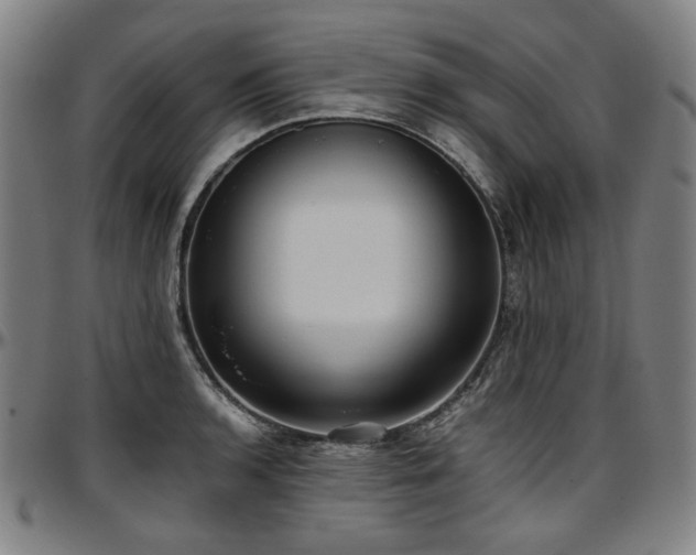 X0000097601136200802291237