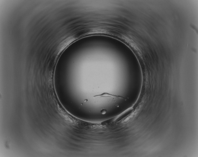 X0000097601137200802291237