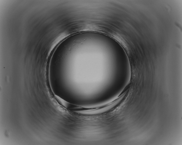 X0000097601138200802291237
