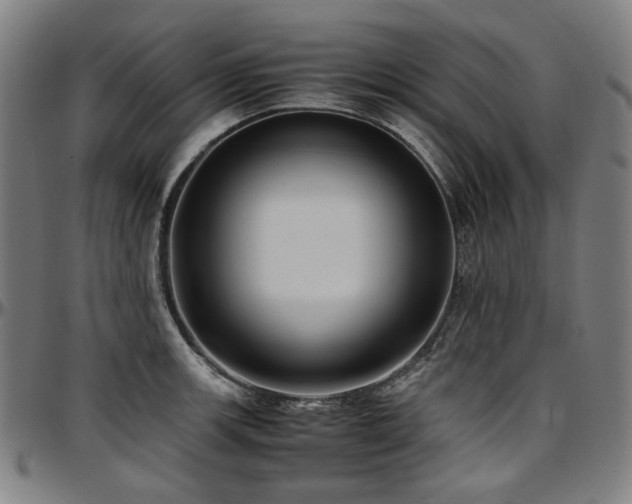 X0000097601139200802291237