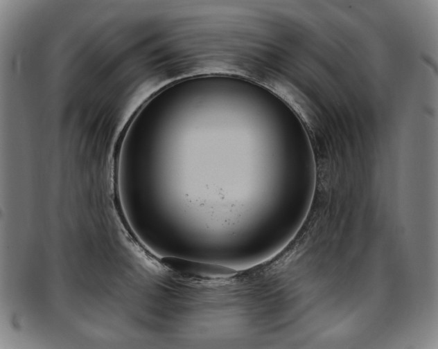 X0000097601140200802291237