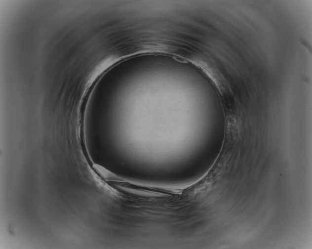 X0000097601143200802291237