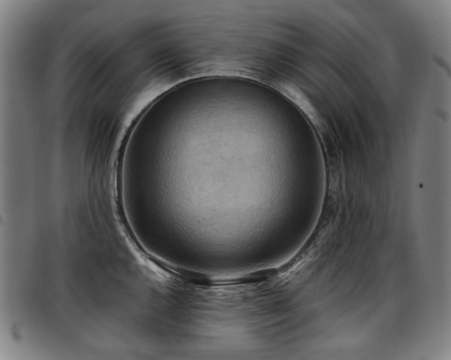 X0000097601144200802291237