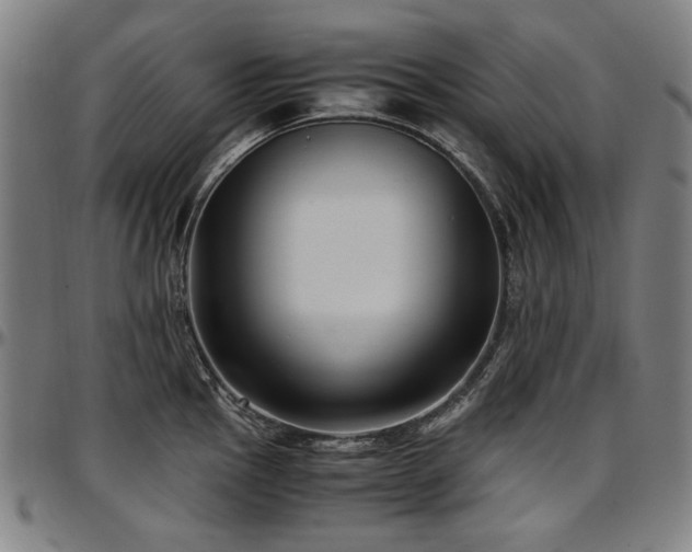 X0000097601145200802291237