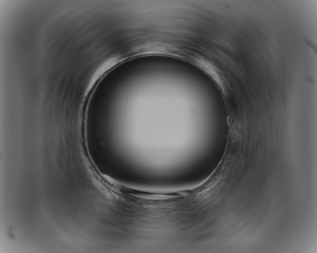 X0000097601146200802291237