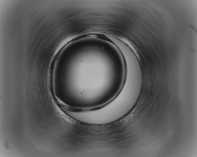 X0000097601147200802291237