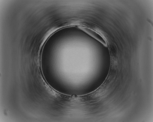 X0000097601148200802291237