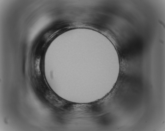 X0000097601150200802291237