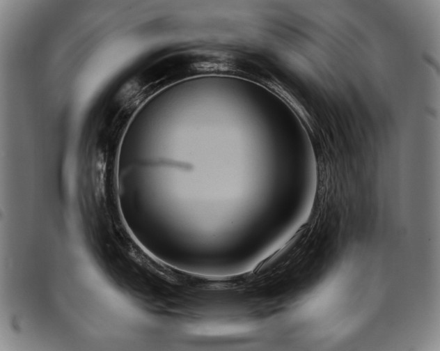 X0000097601151200802291237
