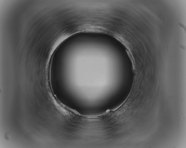 X0000097601152200802291237
