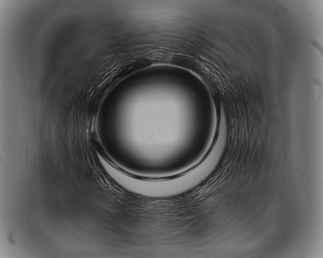 X0000097601154200802291236
