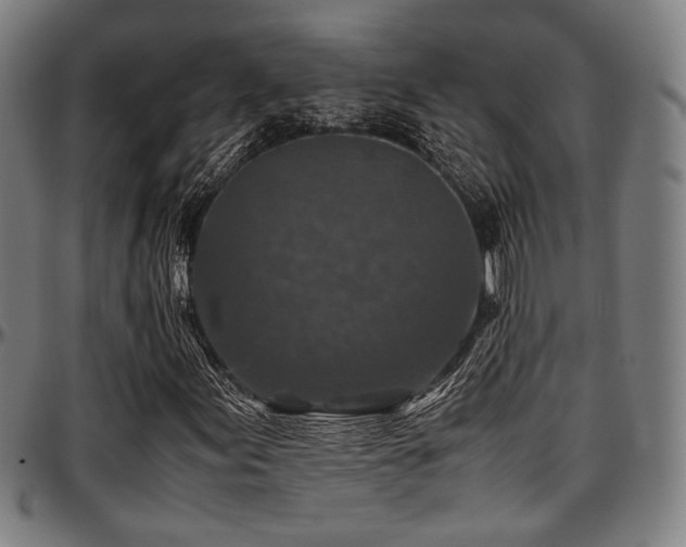 X0000097601155200802291236