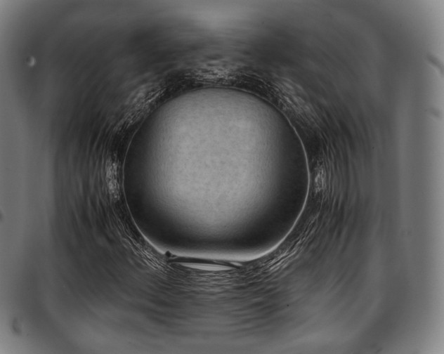 X0000097601156200802291236