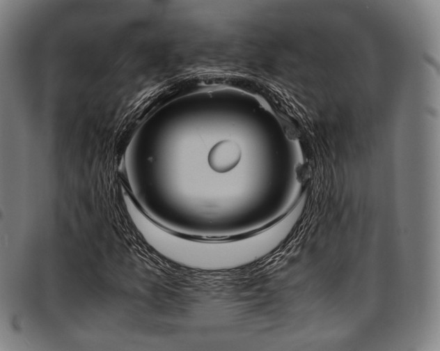 X0000097601157200802291236