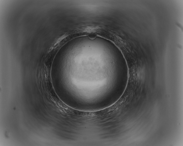 X0000097601158200802291236