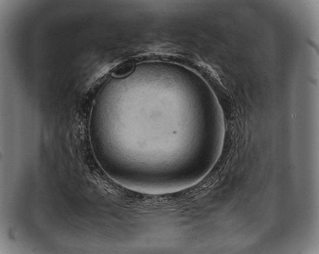 X0000097601159200802291236