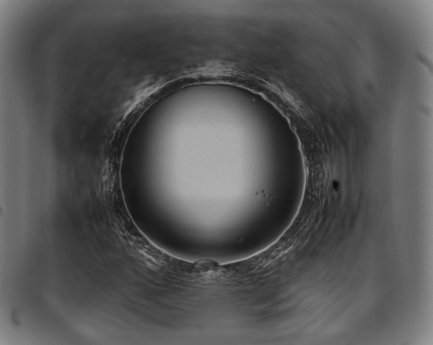 X0000097601160200802291236