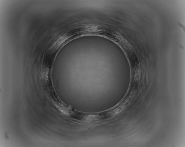 X0000097601161200802291236