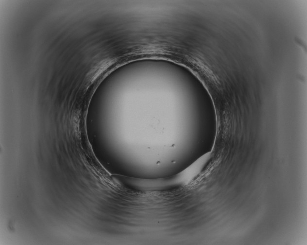 X0000097601162200802291236