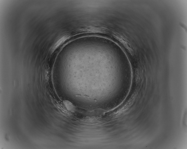 X0000097601163200802291236