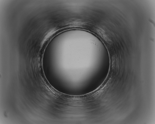 X0000097601164200802291236