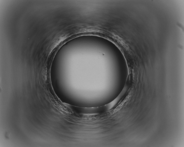 X0000097601165200802291236