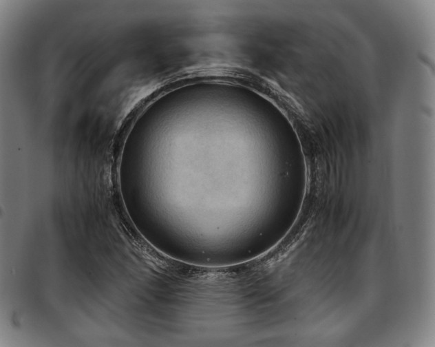 X0000097601166200802291236