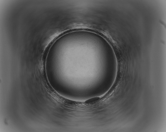 X0000097601167200802291236