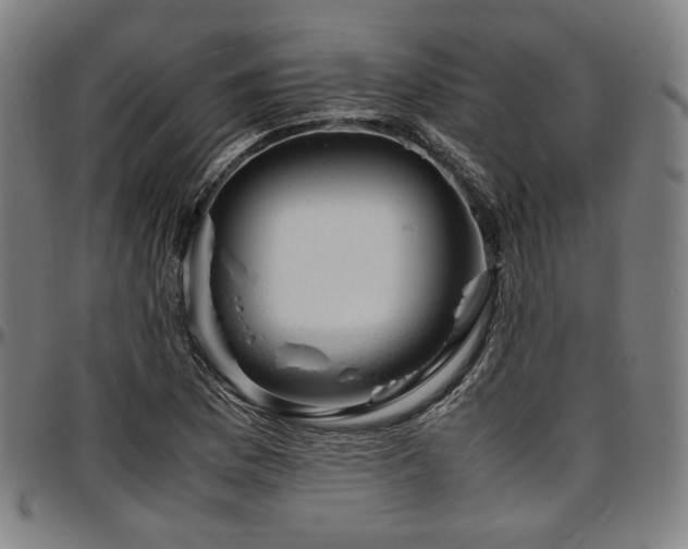 X0000097601169200802291236