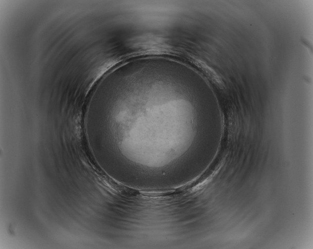 X0000097601170200802291236