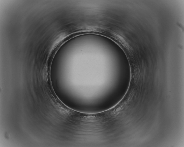 X0000097601172200802291236