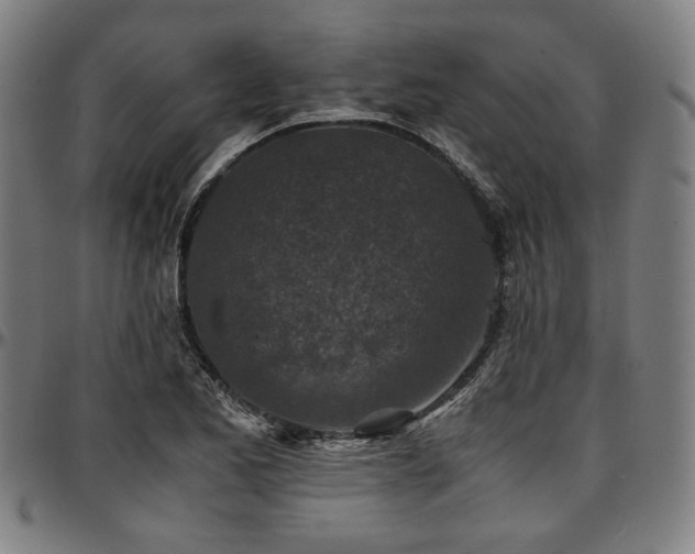 X0000097601173200802291236