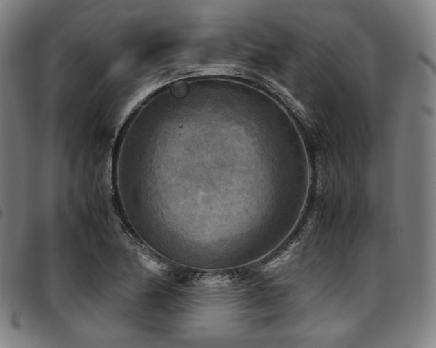 X0000097601174200802291236