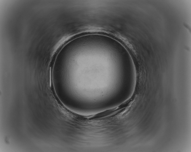 X0000097601175200802291236