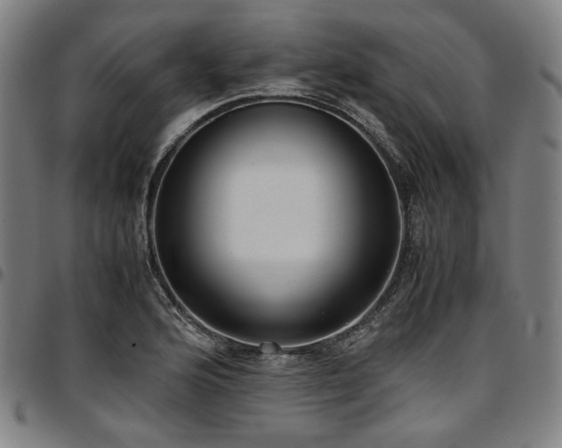 X0000097601176200802291236