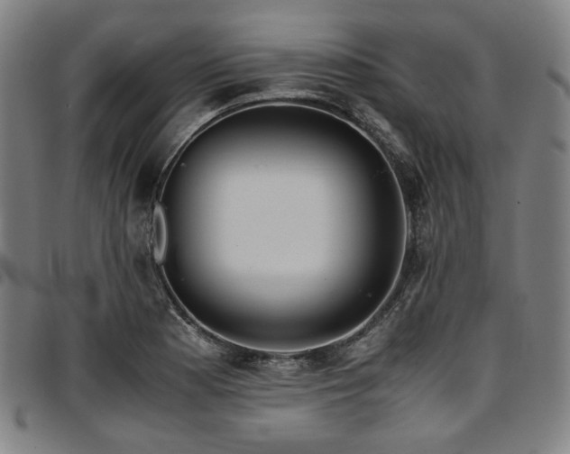 X0000097601177200802291236