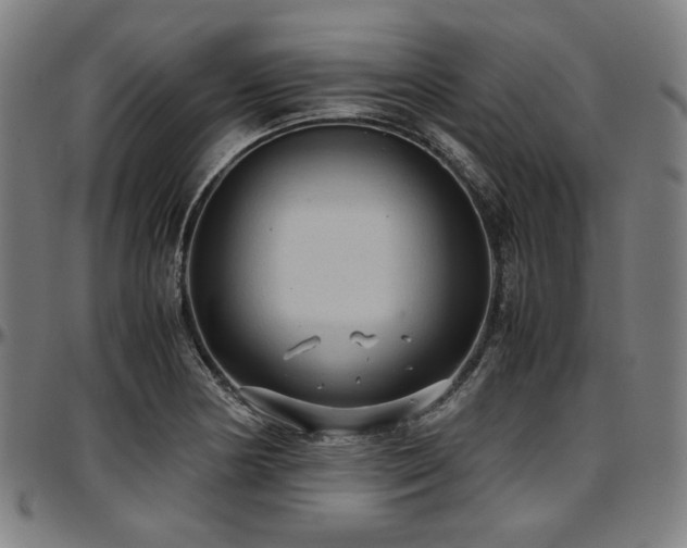 X0000097601178200802291236