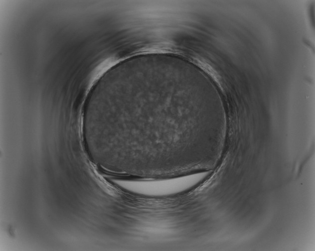 X0000097601179200802291236