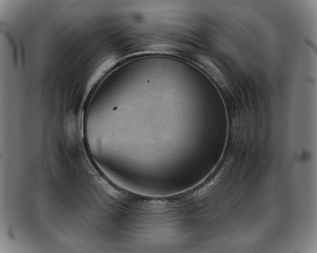 X0000097601180200802291236