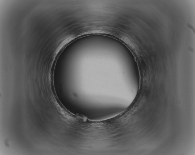 X0000097601181200802291236