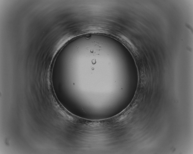 X0000097601182200802291236