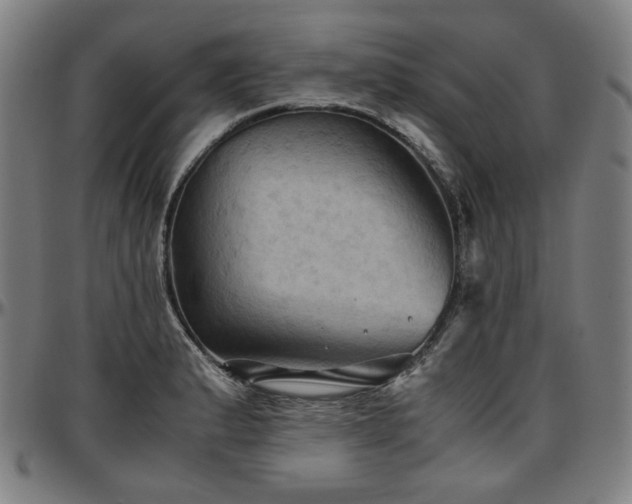 X0000097601183200802291236