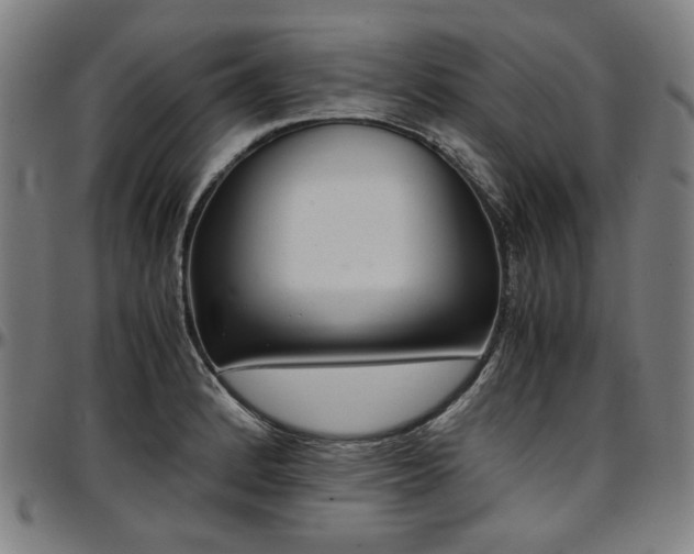 X0000097601184200802291236