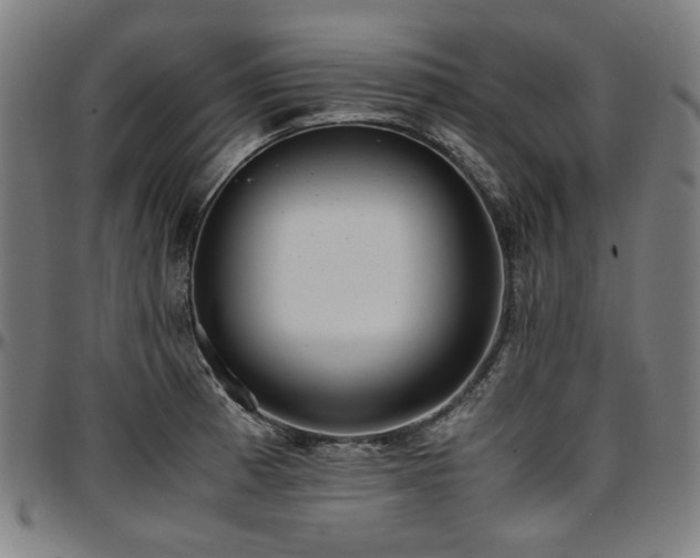 X0000097601185200802291236